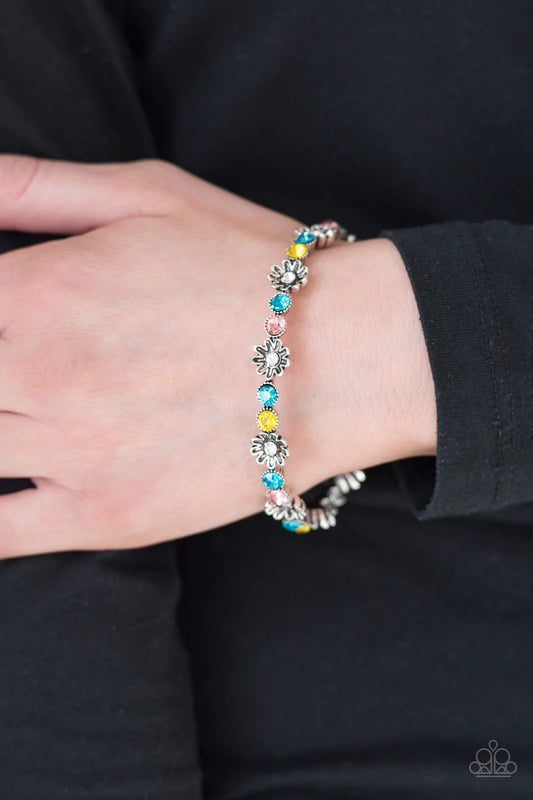 Daffodil Diva - Multi