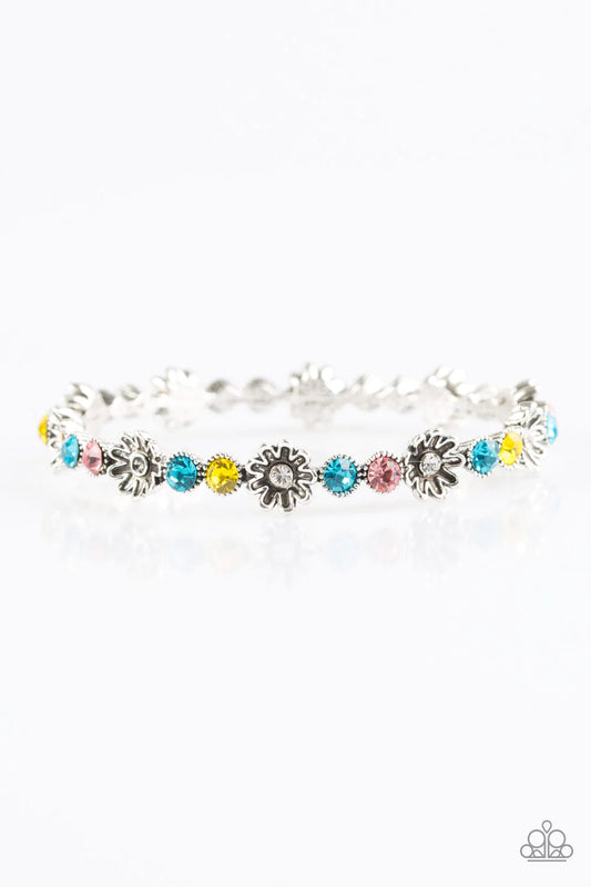 Daffodil Diva - Multi